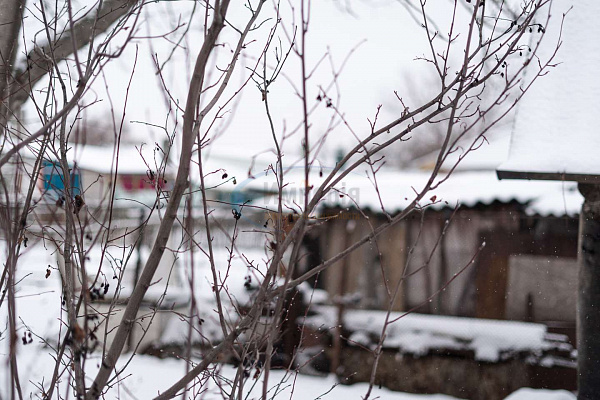 Дом, 83 кв.м. (№22142)