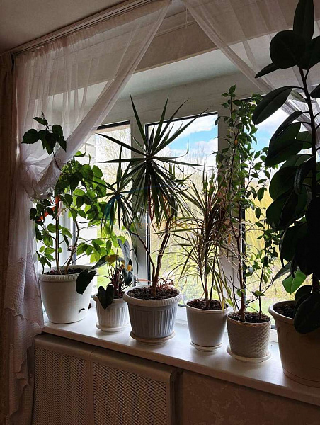 3-к квартира, 83 кв.м. (№22199)