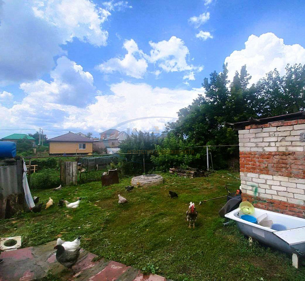 Дом, 50 кв.м. (№22003)